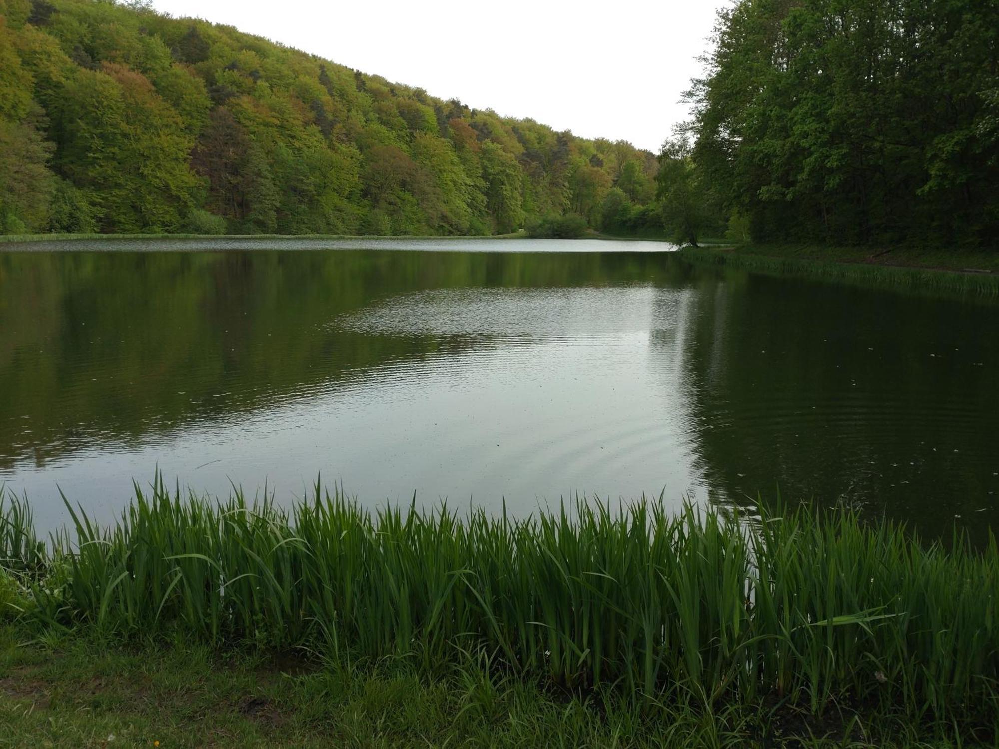 Gaestezimmer M. Schubert Oberelbert Luaran gambar